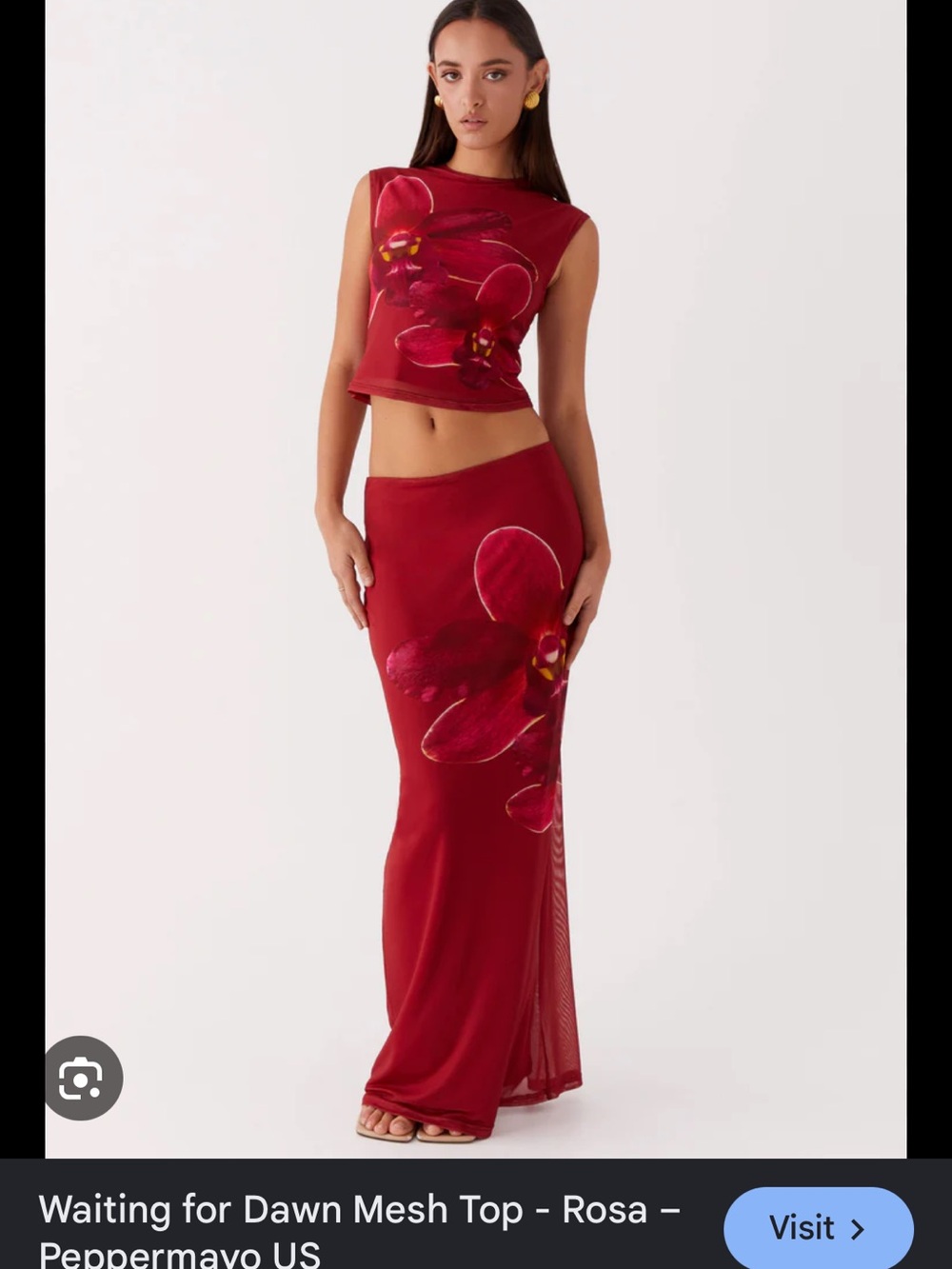 Mesh Maxi Skirt and Top - Rosa Red